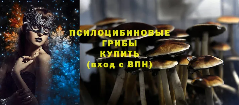 наркошоп  Коломна  Псилоцибиновые грибы Cubensis 